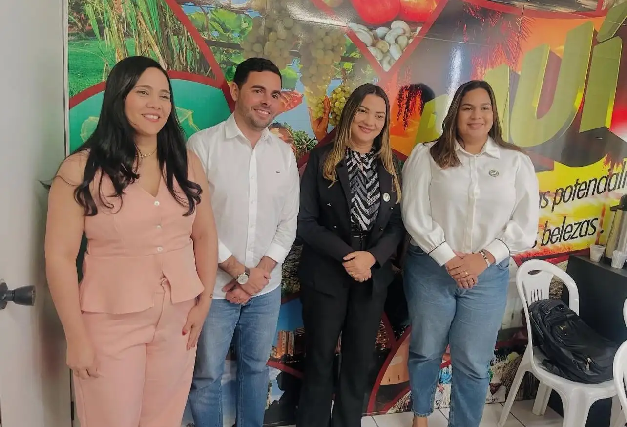 Foto 3 – Reunião da CIR em Teresina 🏥📍