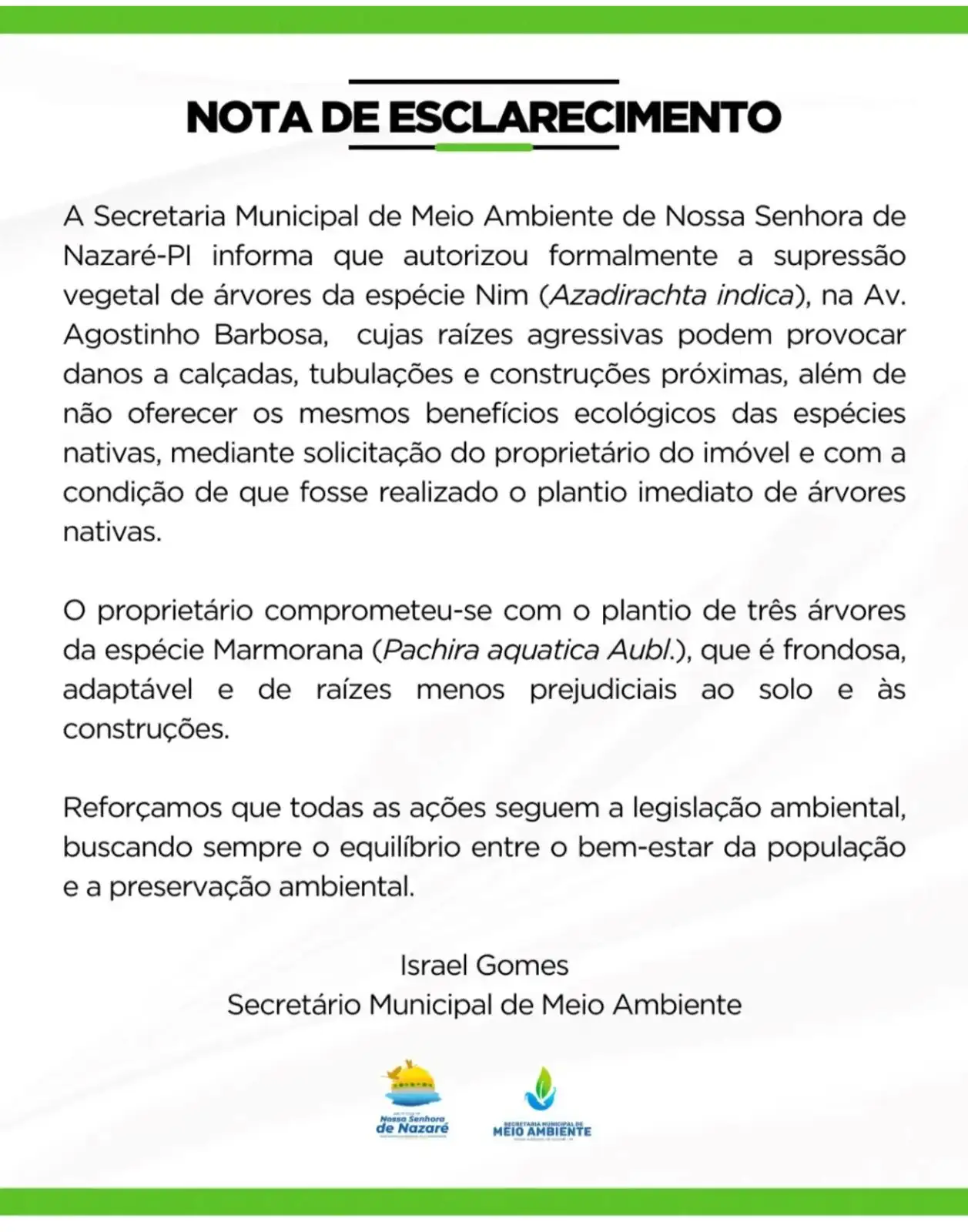 Secretaria Municipal de Meio Ambiente autoriza supressão controlada de árvores Nim na área urbana
