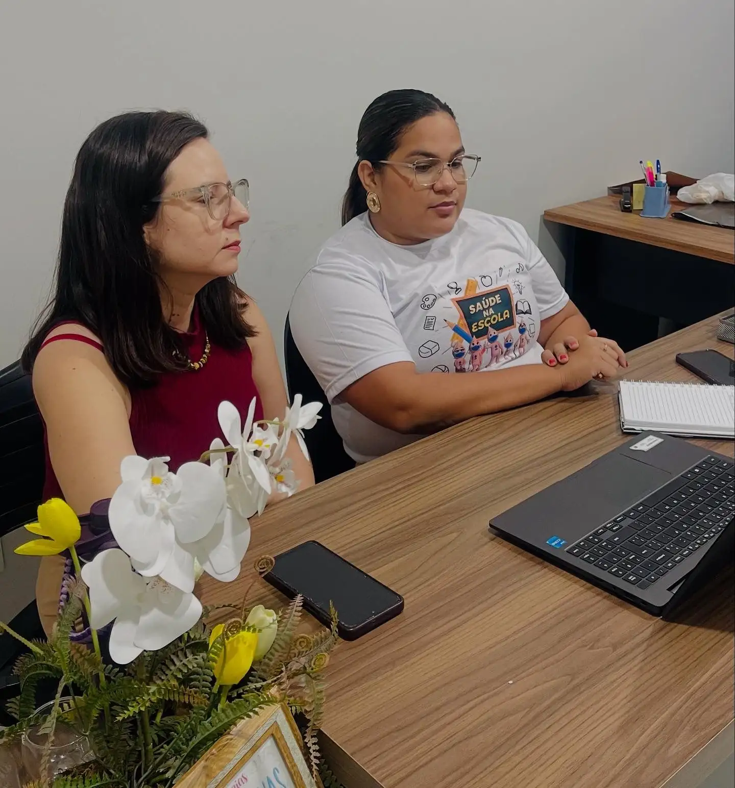 Foto 1 – Reunião on-line do Pacto pela Saúde do Piauí